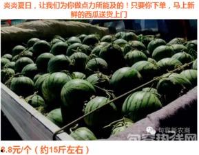 句容吃瓜大赛官网入口,一网打尽夏日狂欢盛宴”