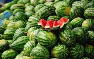 郫县网红吃瓜事件真相,真相背后的网络狂欢与反思