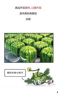 全网吃瓜网,揭秘娱乐圈幕后真相！