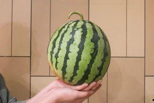 全网吃瓜网,揭秘娱乐圈幕后真相！