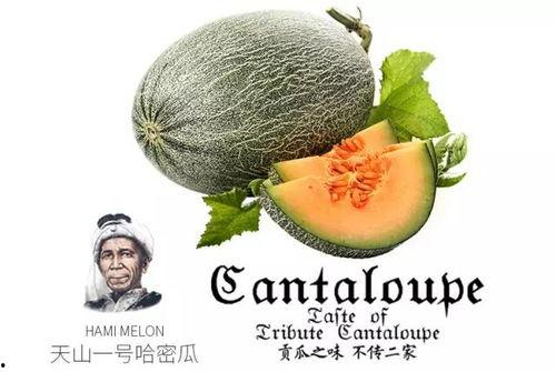 网红吃瓜视频推荐大全,一网打尽热门话题！