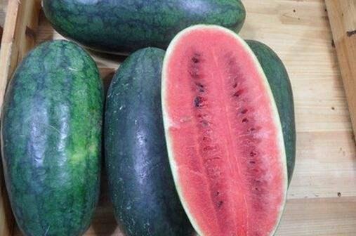 天然琪黑料吃瓜网