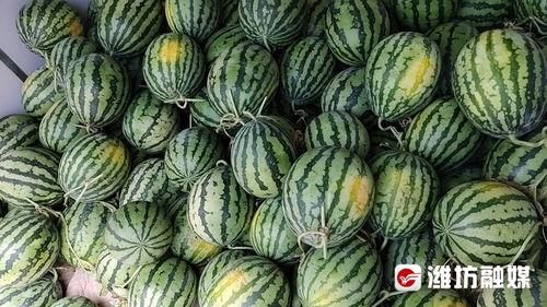 康县网红二饼吃瓜事件