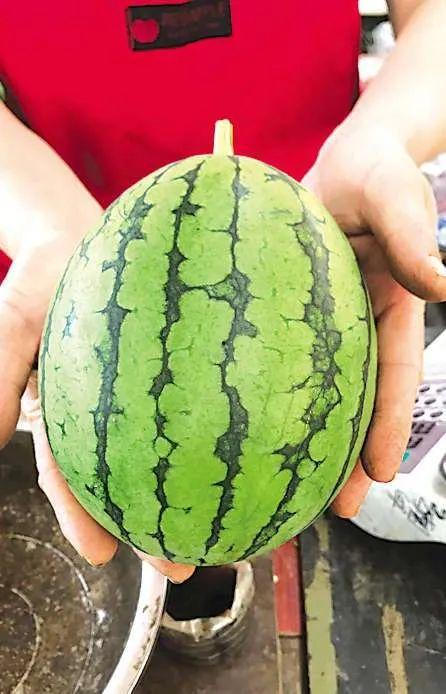 吃瓜事件最新官网,揭秘最新官网披露的内幕与真相