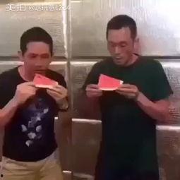 网红吃瓜的搞笑视频合集