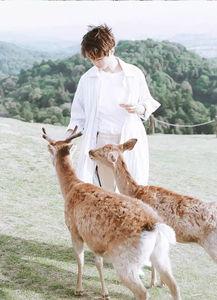 网红小羊白衬衫吃瓜,揭秘网红圈幕后故事