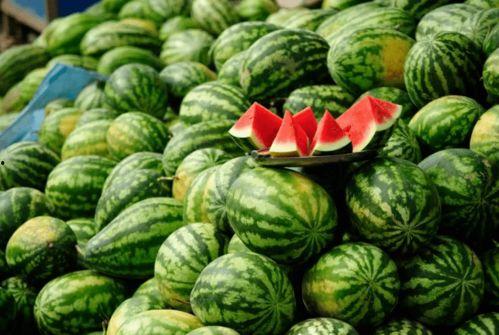 网红吃瓜大全集,揭秘娱乐圈幕后风云