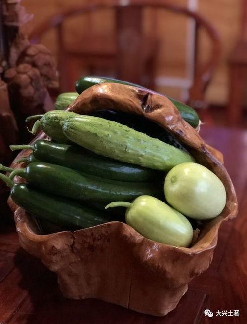 网红吃瓜视频大全集,揭秘娱乐圈幕后故事