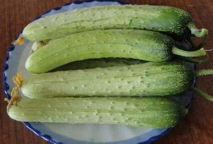 吃瓜网黄,网络红人的崛起与争议