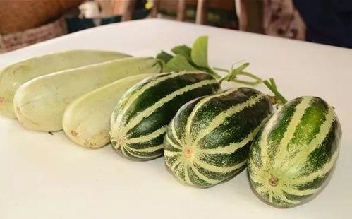 qq吃瓜网红图片大全,海量图片带你领略网络红人风采