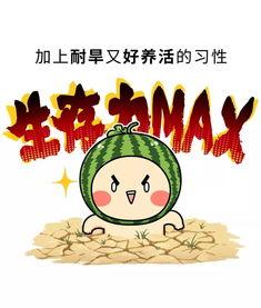 爱我吃瓜网,爱我吃瓜网带你领略吃瓜文化新风尚