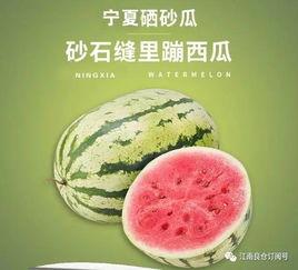 吃网红瓜1元,揭秘网络热点背后的故事