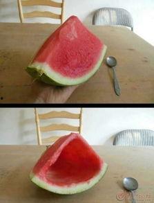 单县吃瓜网,揭秘单县美食与趣闻的网上乐园