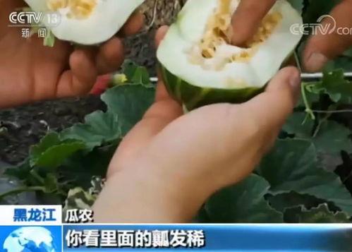 吃瓜网曝光,娱乐圈最新猛料大揭秘！