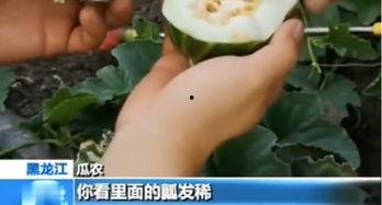 吃瓜网曝光,娱乐圈最新猛料大揭秘！