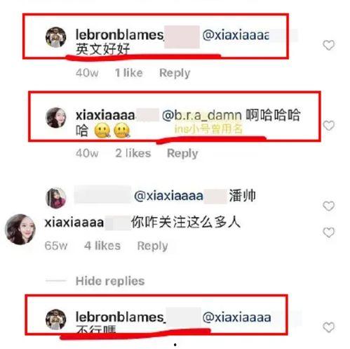 网红吃瓜事件网址,揭秘网络舆论背后的真相与争议