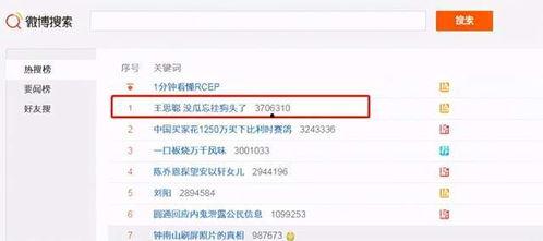 吃网红瓜的视频网站